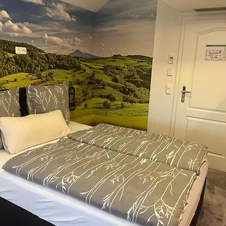 Hecker Hof باد سالزونغين